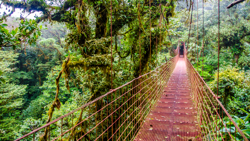 Brücke im Regenwald Monteverde, Costa Rica